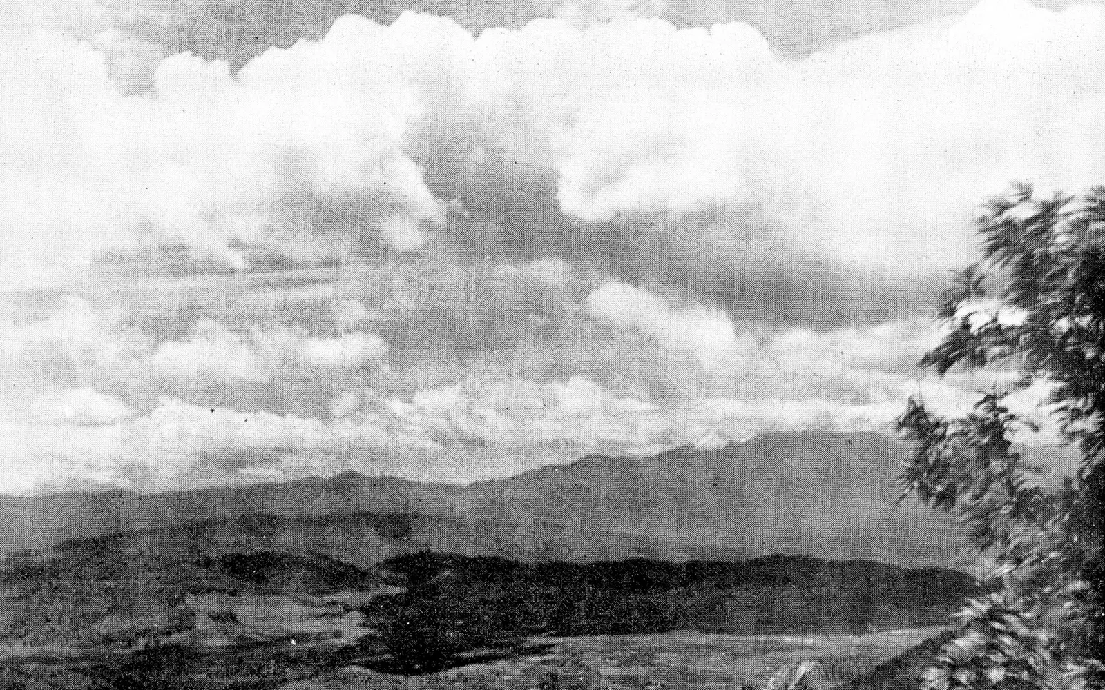 Champhai Hills- Lushai Chysalis
