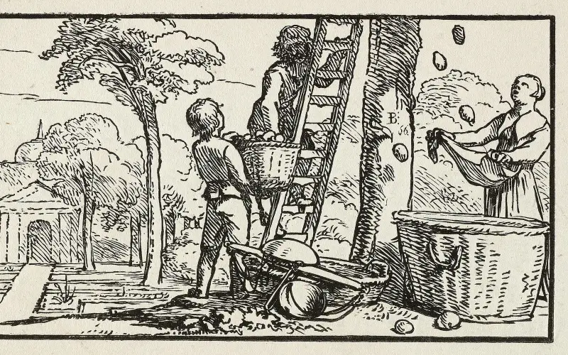 September. NL-HlmNHA 1477 53010215